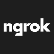 ngrok 网络连接工具品牌logo